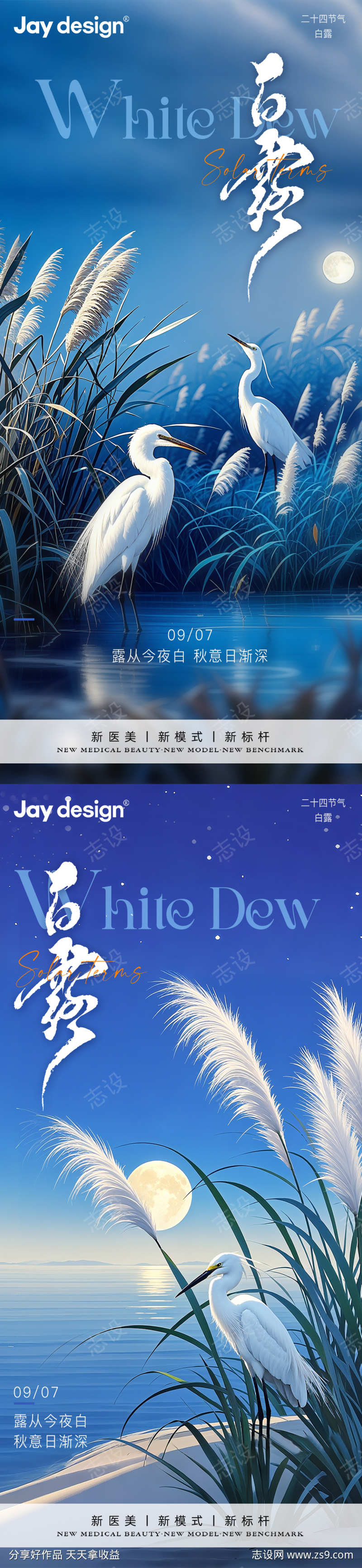 白露中式节气海报