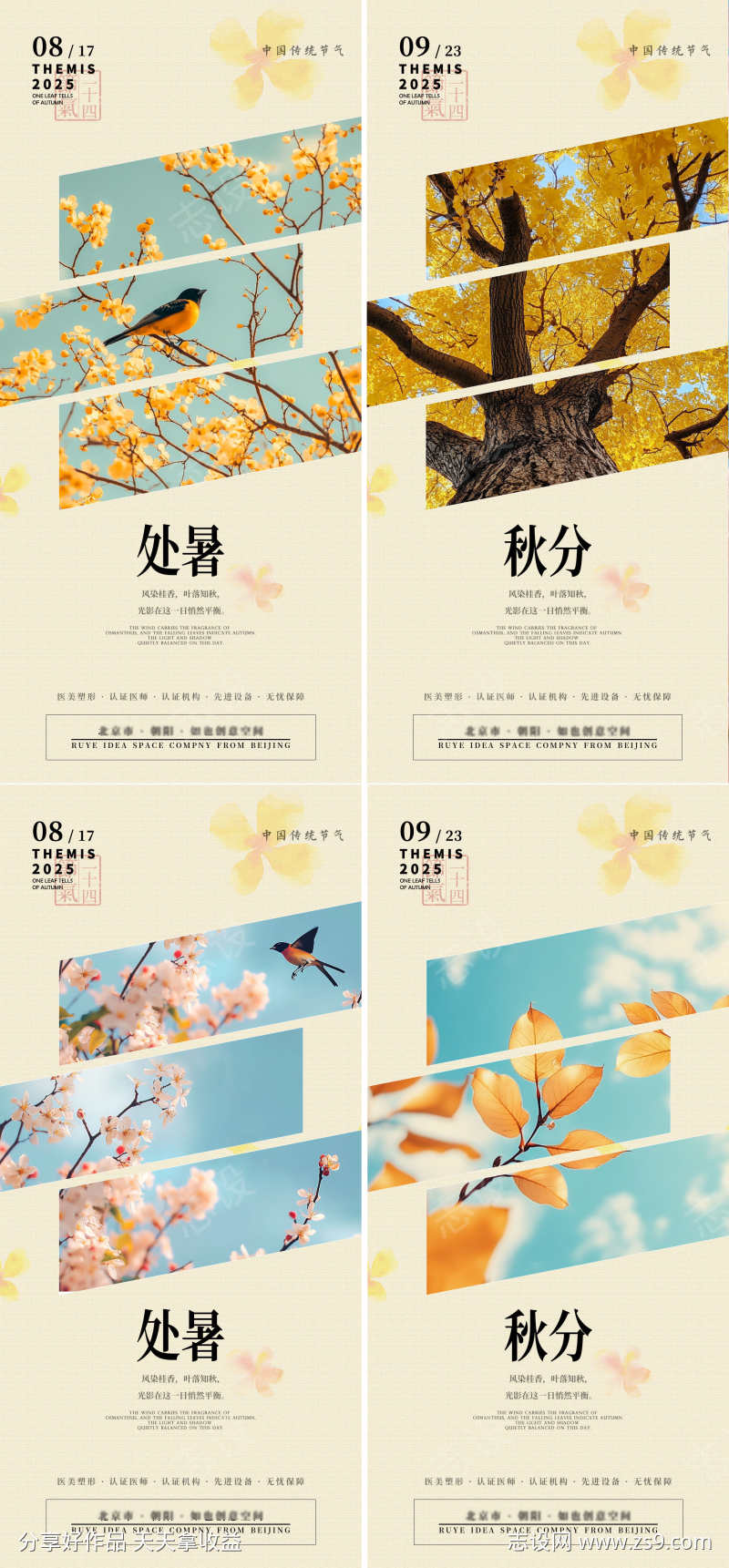 秋分桂花画眉ins风海报