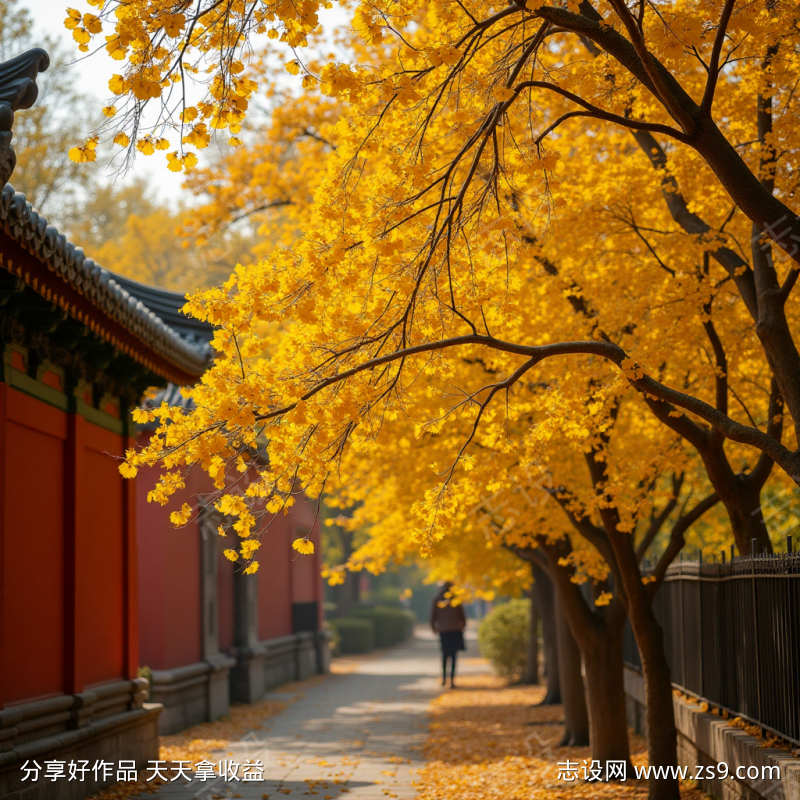 秋天第一张风景
