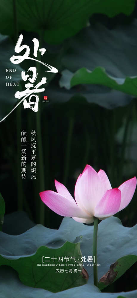 处暑节气海报_源文件下载_PSD格式_1242X2688像素-处暑,处暑海报,节气海报-作品编号:2025080915192758-志设-zs9.com