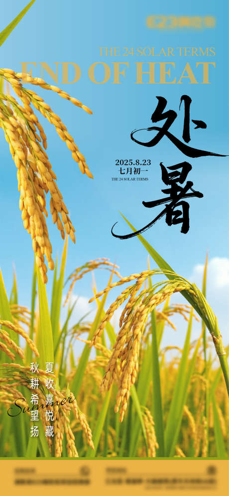 节气处暑海报_源文件下载_AI格式_2344X5075像素-水稻,稻穗,处暑-作品编号:2025081008477547-志设-zs9.com
