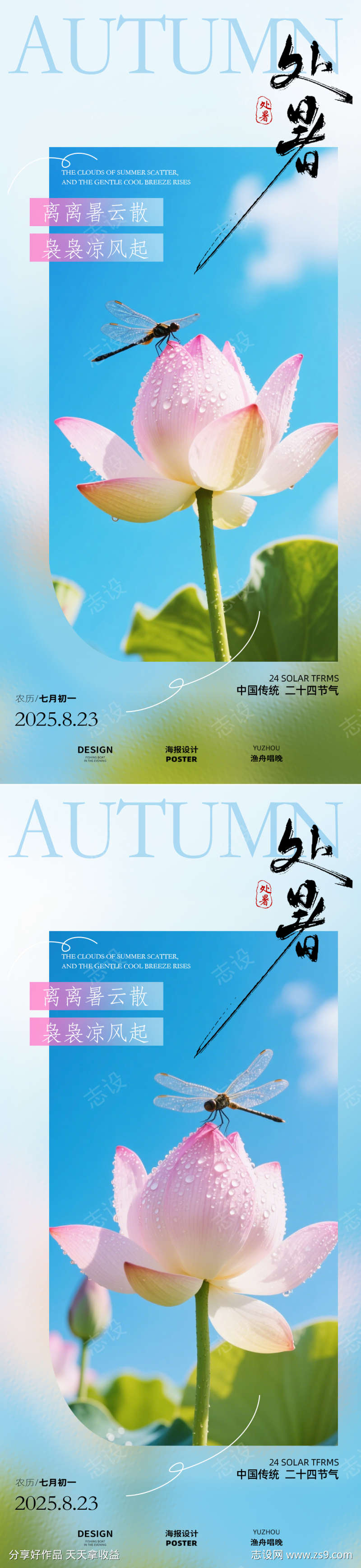 处暑荷花海报
