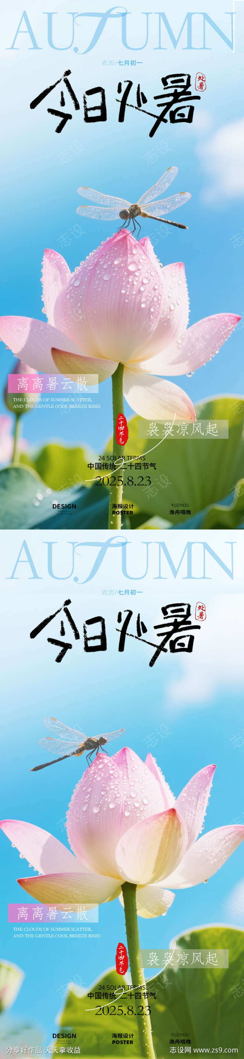 处暑荷花海报