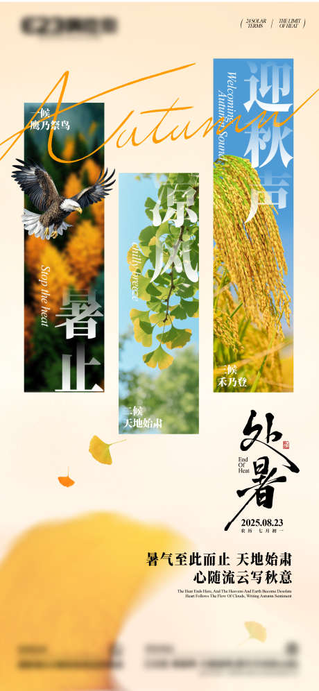 处暑传统节气海报_源文件下载_AI格式_2344X5075像素-银杏叶,稻穗,节气-作品编号:2025081209407250-志设-zs9.com