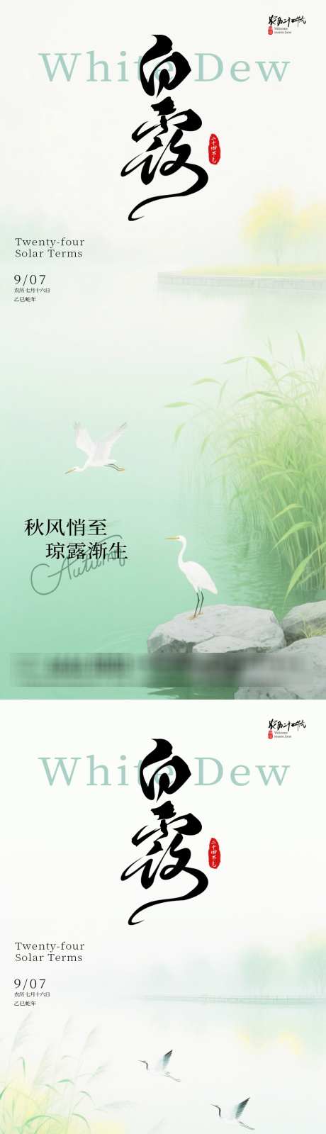 白露飞鹤海报_源文件下载_PSD格式_1080X4638像素-飞鹤,白露,节气-作品编号:2025081211016785-志设-zs9.com