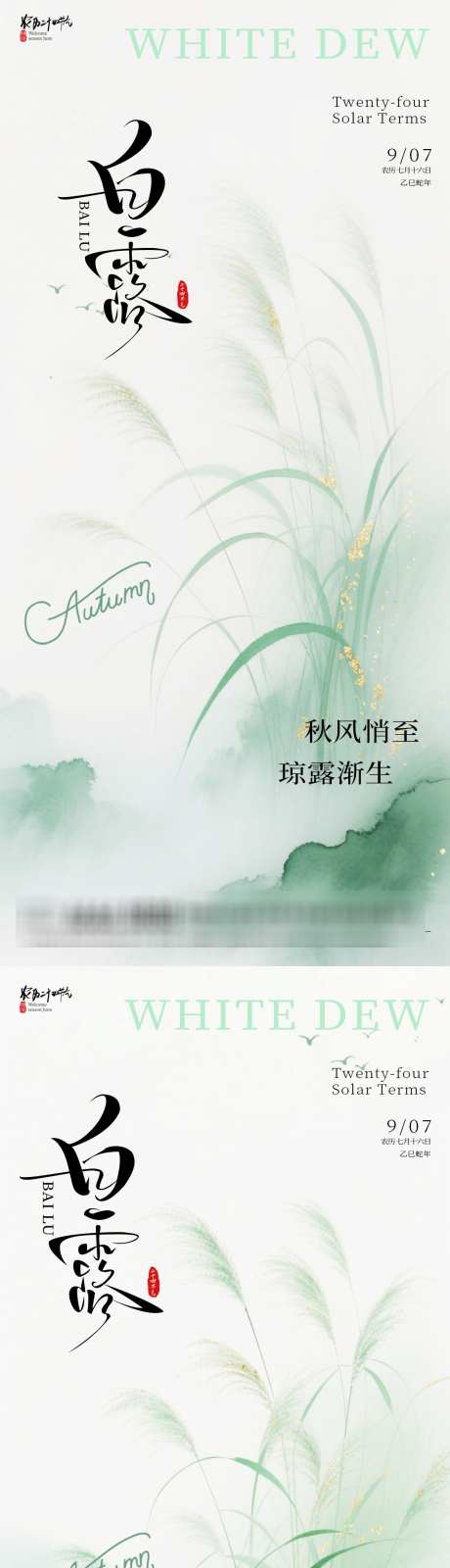 白露芦苇海报_源文件下载_PSD格式_1080X4635像素-芦苇,简约,节气-作品编号:2025081211102129-志设