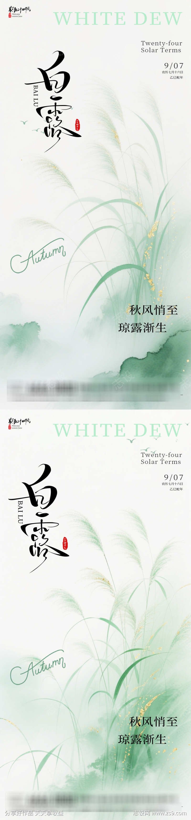 白露芦苇海报