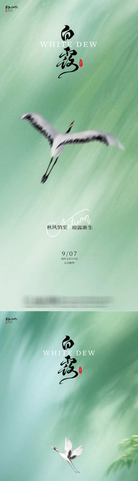 白露飞鹤海报2_源文件下载_PSD格式_988X4345像素-飞鹤,简约,节气-作品编号:2025081211024204-志设-zs9.com