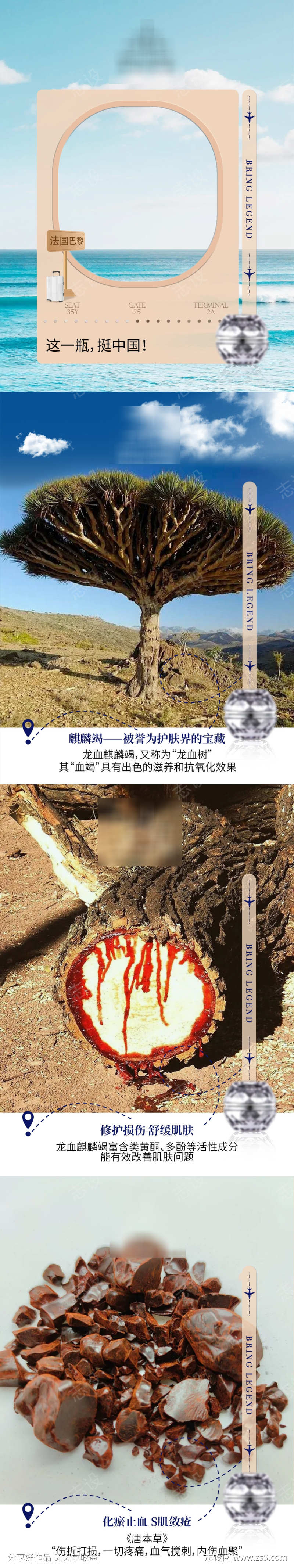 小红书成分科普图