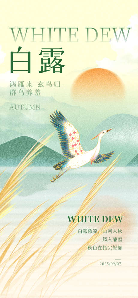 白露节气海报_源文件下载_PSD格式_1242X2688像素-白露,白露海报,节气-作品编号:2025081215209520-志设-zs9.com