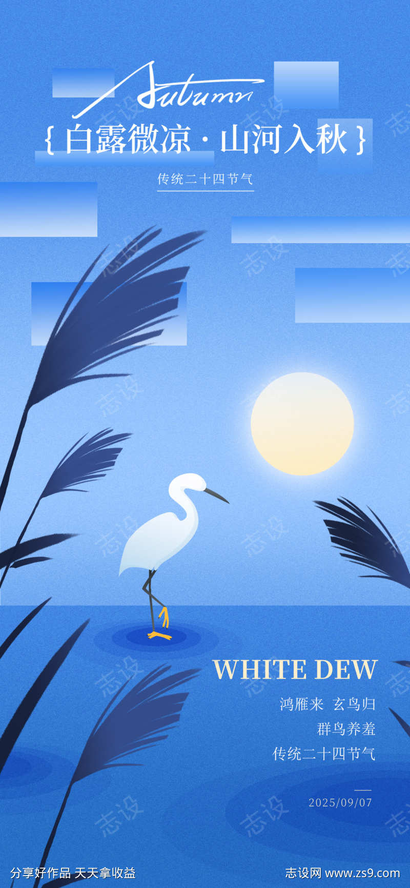 白露节气海报