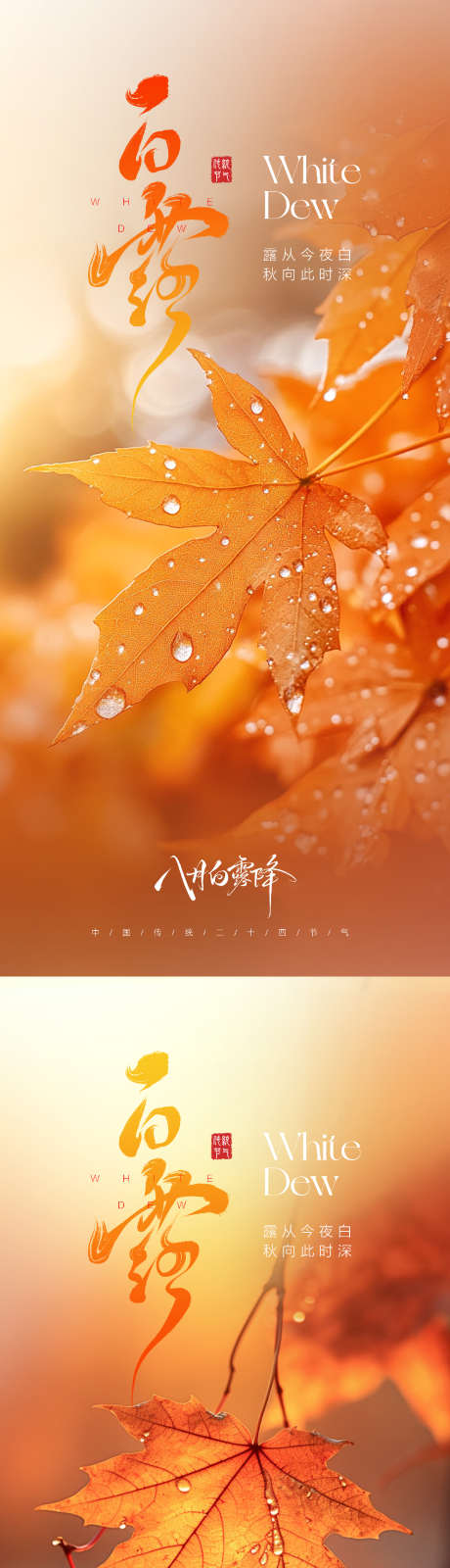 白露节气海报_源文件下载_PSD格式_1330X5762像素-氛围,枫叶,露珠-作品编号:2025081309391091-志设