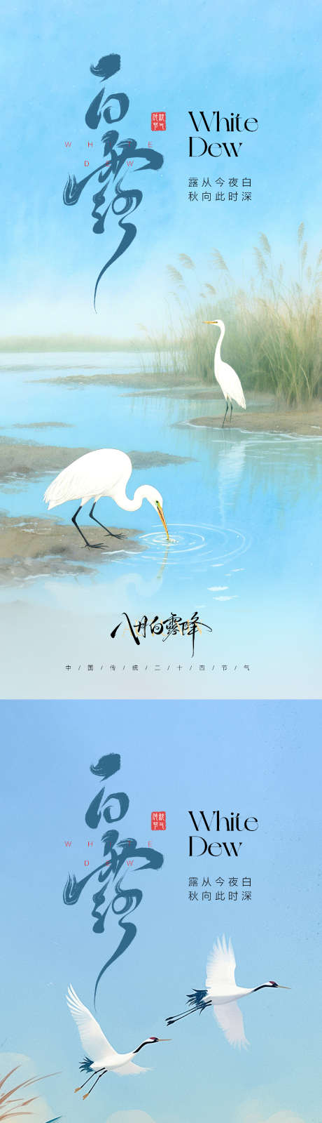 白露节气海报_源文件下载_PSD格式_1330X5762像素-白露,芦苇,秋天-作品编号:2025081309407262-志设-zs9.com
