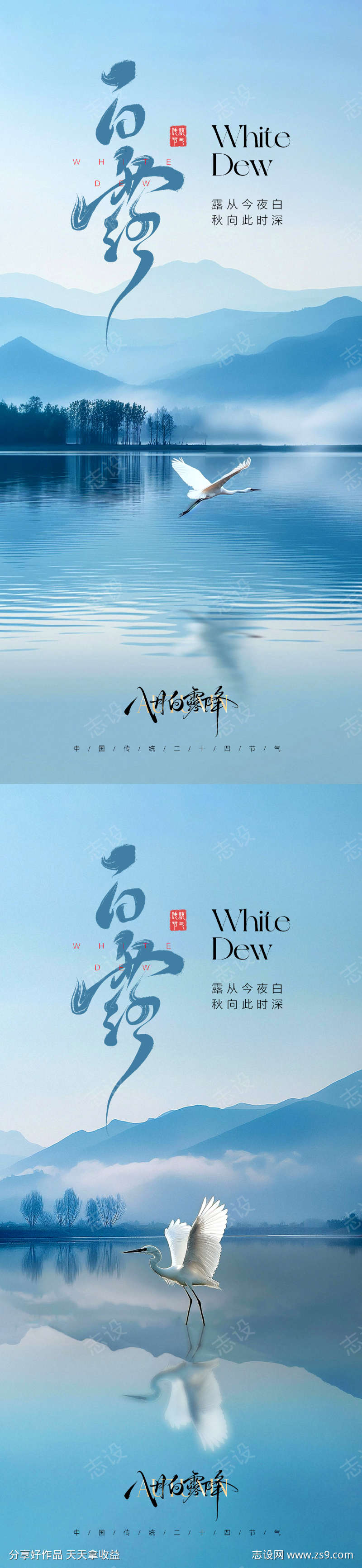 白露节气海报
