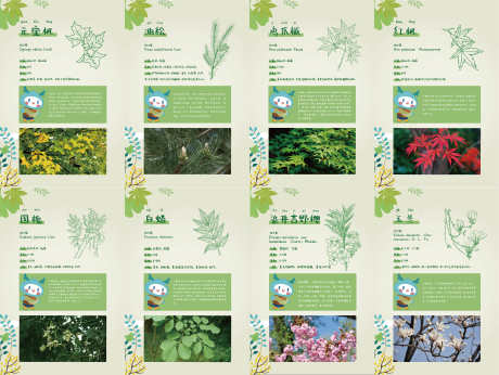 植物展板_源文件下载_AI格式_3951X2968像素-展板,地产,植物-作品编号:2025081202746062-志设-zs9.com