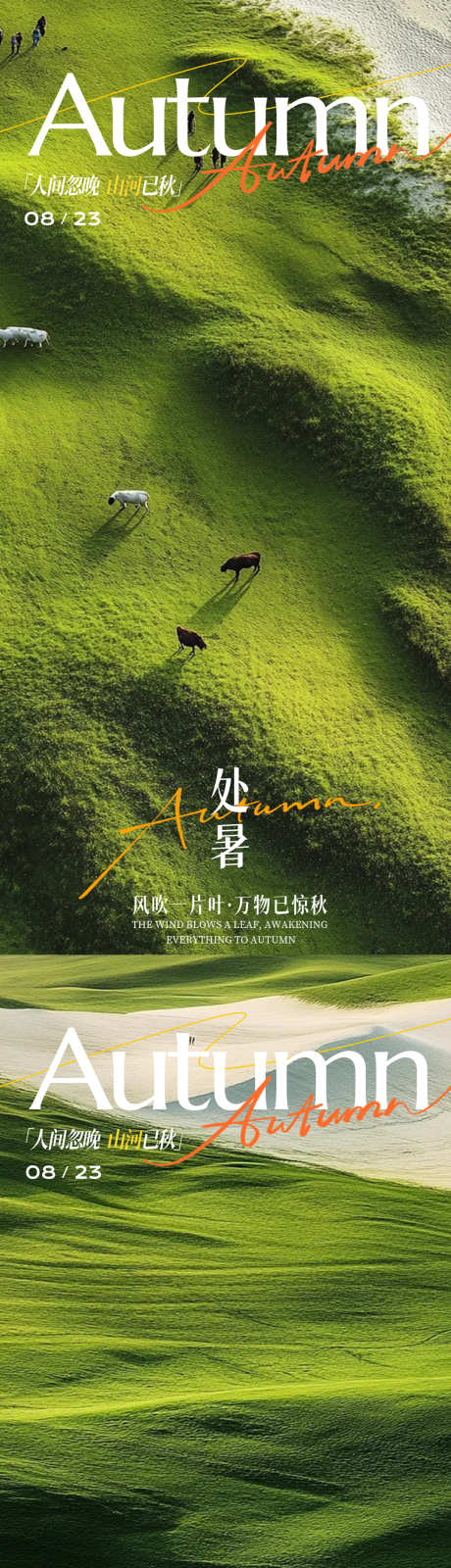 处暑节气海报_源文件下载_PSD格式_1080X4676像素-夏日,处暑,节气-作品编号:2025081410173627-志设-zs9.com