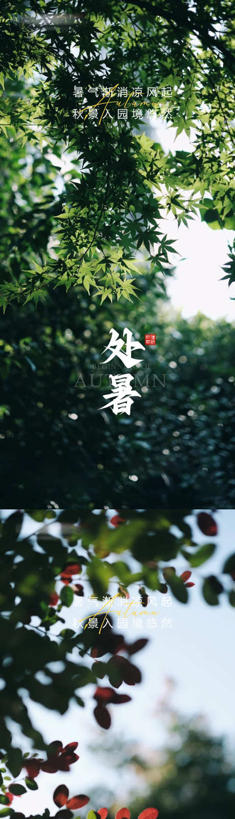 处暑节气海报_源文件下载_PSD格式_1080X4676像素-处暑,节气,夏末-作品编号:2025081410324802-志设