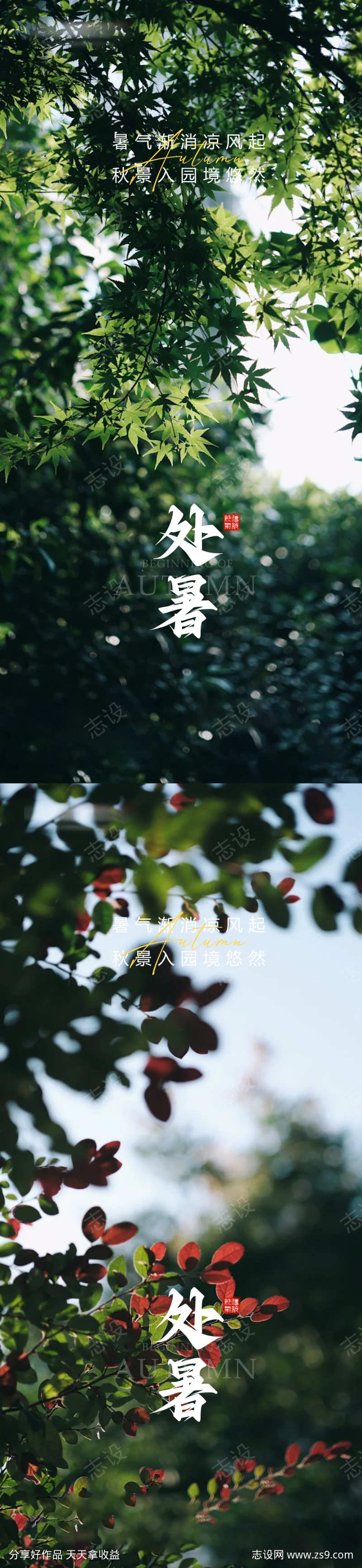 处暑节气海报