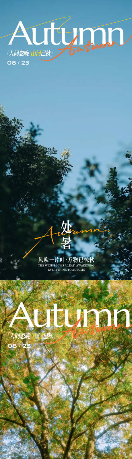 处暑节气海报_源文件下载_PSD格式_1080X4676像素-高端,蓝天,处暑-作品编号:2025081410355346-志设-zs9.com