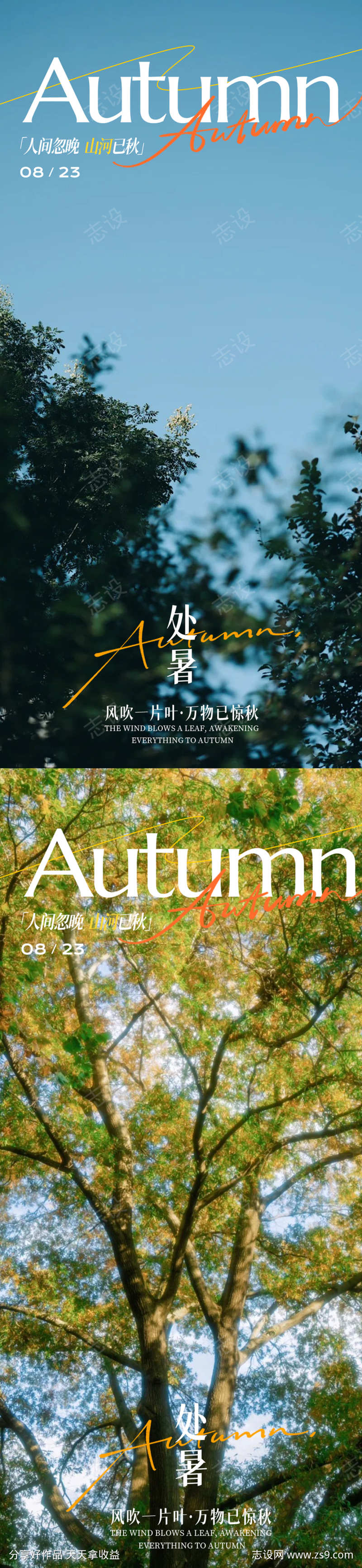 处暑节气海报