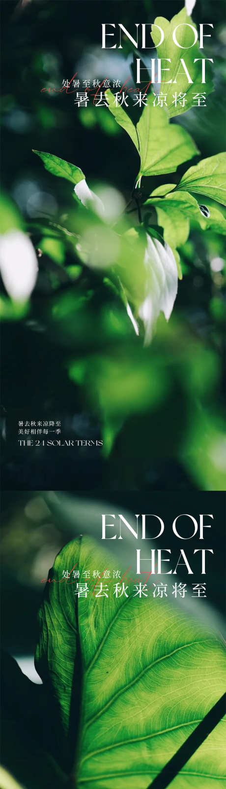处暑节气海报_源文件下载_PSD格式_1080X4676像素-创意,处暑,节气-作品编号:2025081410348936-志设
