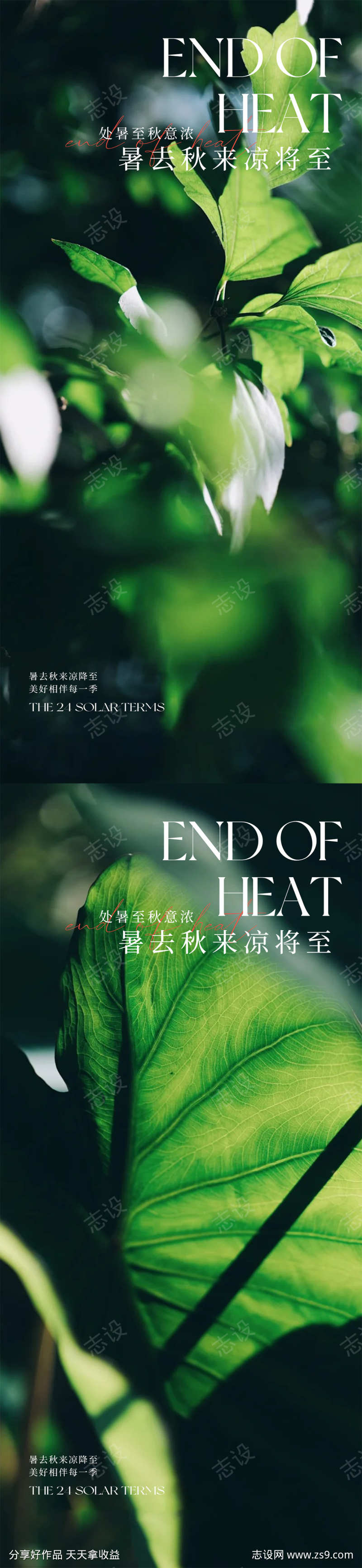 处暑节气海报