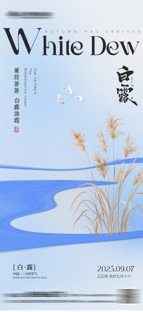 白露节气简约海报