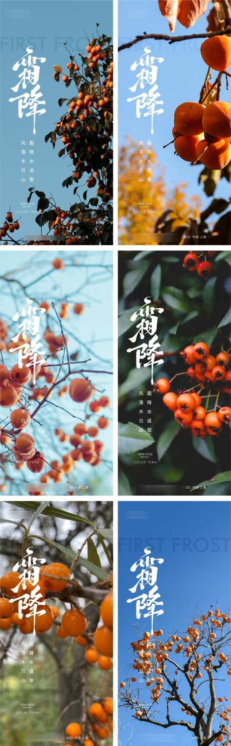 柿子摄影系列_源文件下载_AI,PSD格式_1200X3872像素-风景,节气,霜降-作品编号:2025081613078634-志设