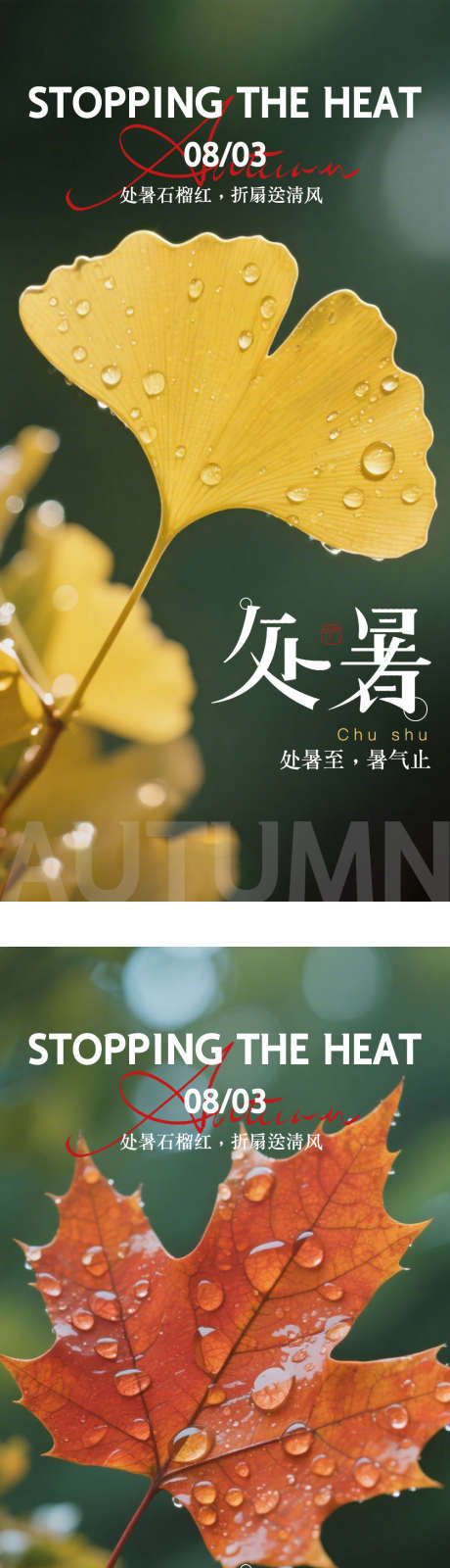 处暑节气海报_源文件下载_PSD格式_1000X4100像素-二十四节气,秋天,海报-作品编号:2025081716062675-志设
