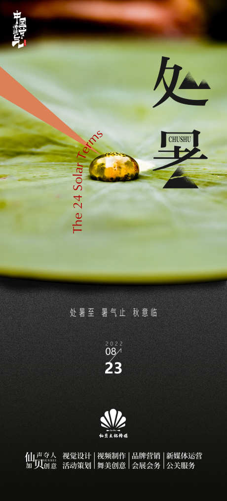 处暑荷叶节气海报_源文件下载_PSD格式_2362X5200像素-二十四节气,处暑,荷叶-作品编号:2025081802183351-志设