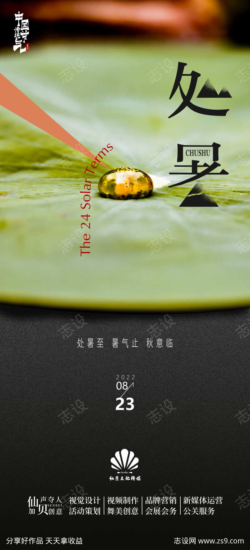 处暑荷叶节气海报