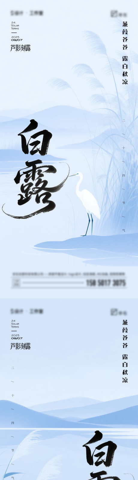 白露二十四节气海报_源文件下载_AI,PSD格式_750X3246像素-插画,白鹭,秋季-作品编号:2025081913536024-志设