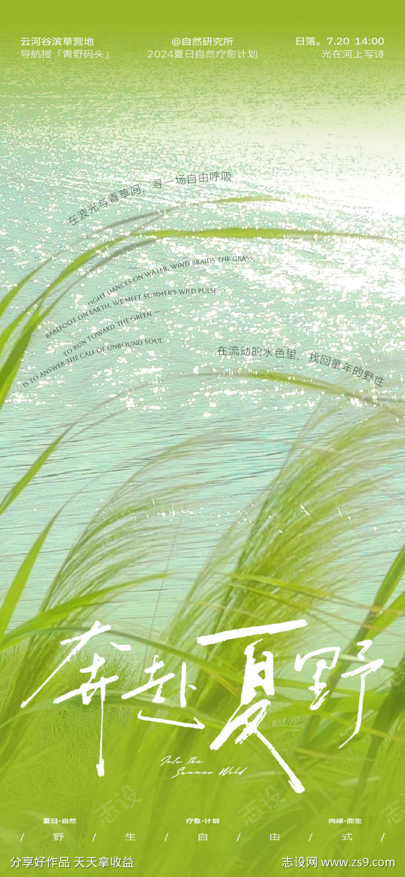 奔赴夏野自然疗愈海报