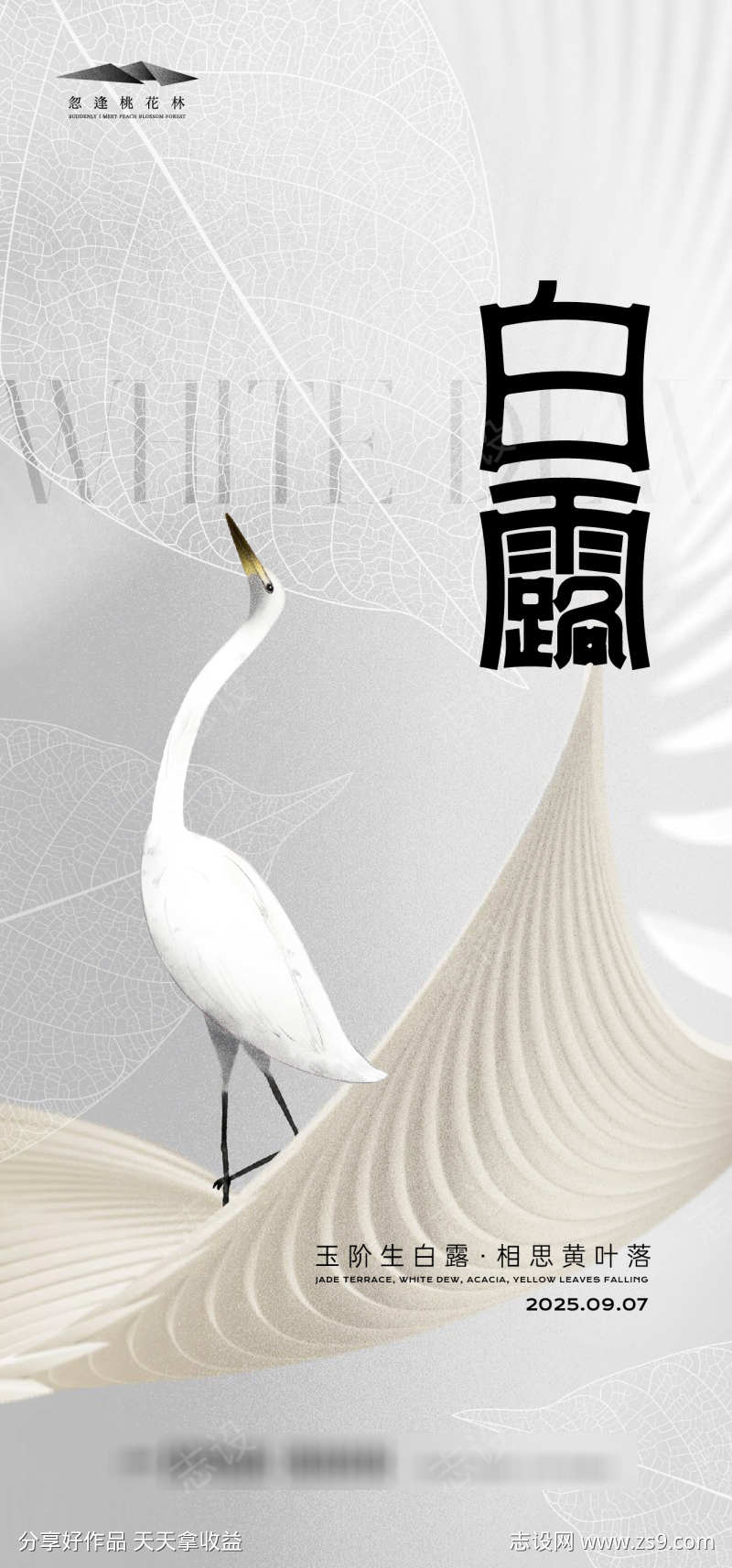 白露节气海报