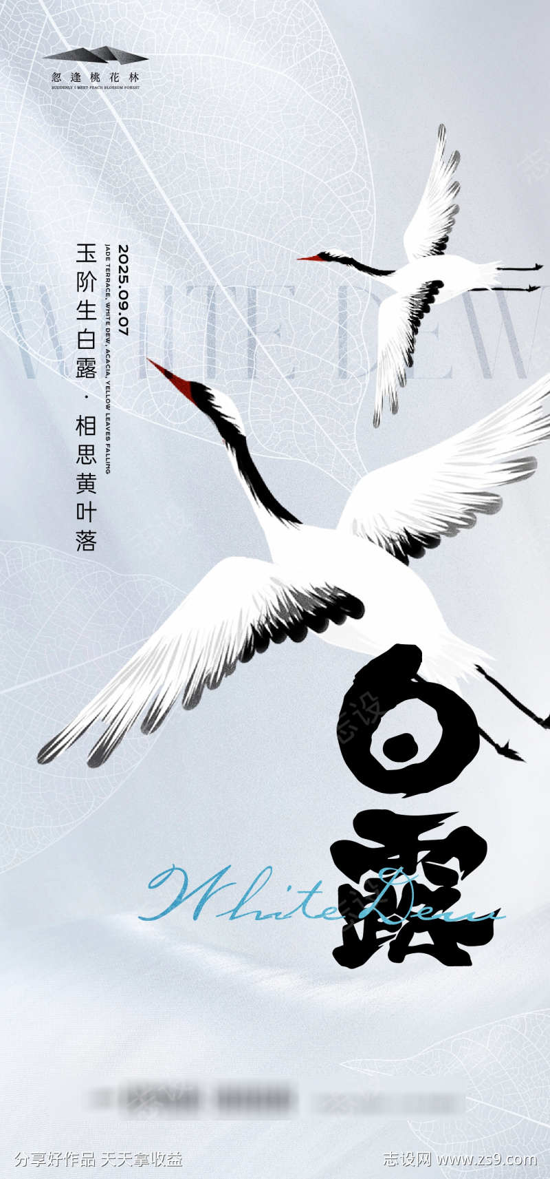 白露节气海报