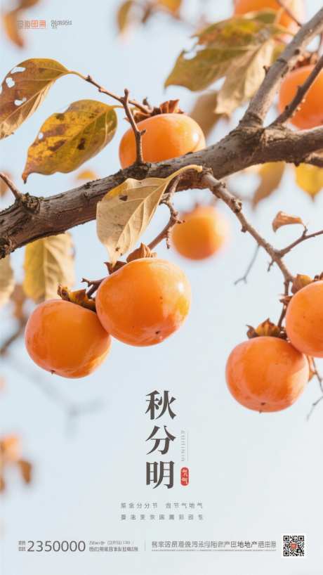 秋分节气海报_AI图片下载_采样_1152X2048像素-地产,柿子,节气-作品编号:2025082214422489-志设