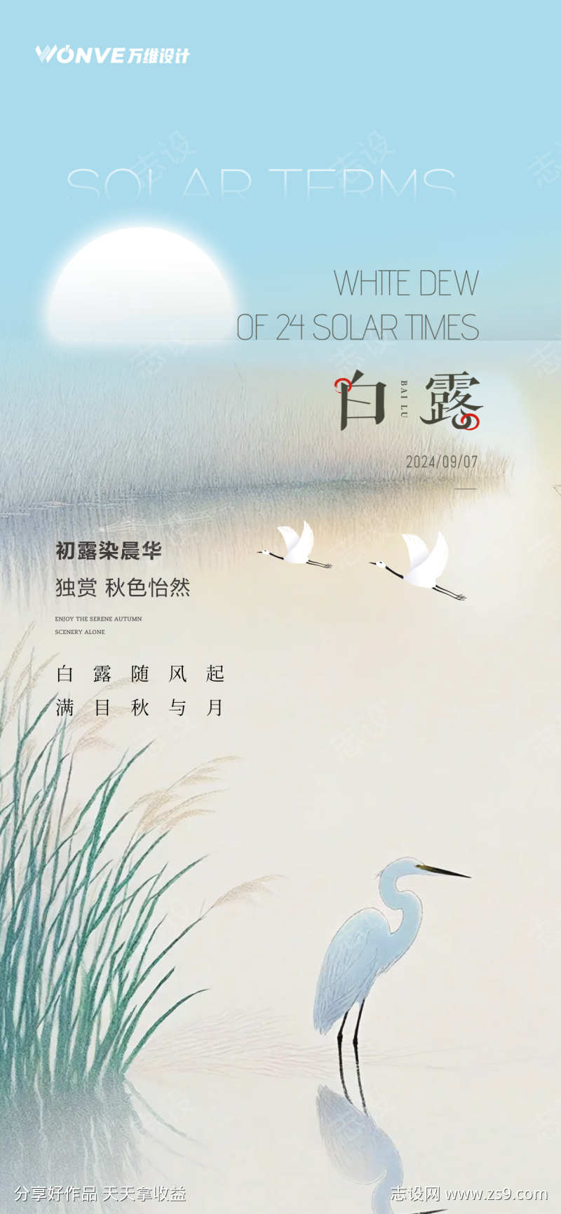 白露节气海报