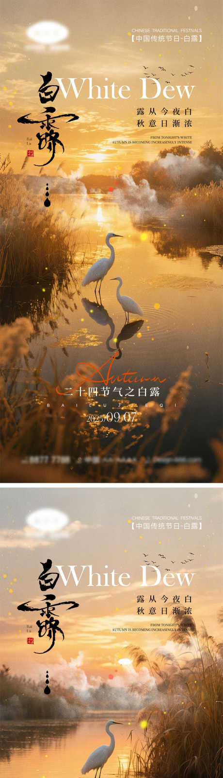 白露节气海报_源文件下载_PSD格式_1000X4340像素-白鹭,芦苇,入秋-作品编号:2025082411035139-志设
