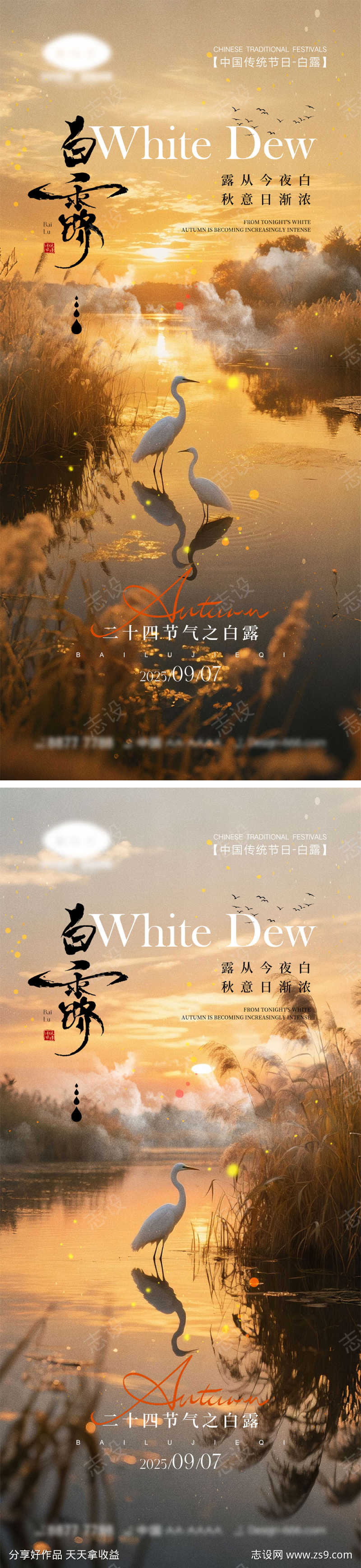 白露节气海报