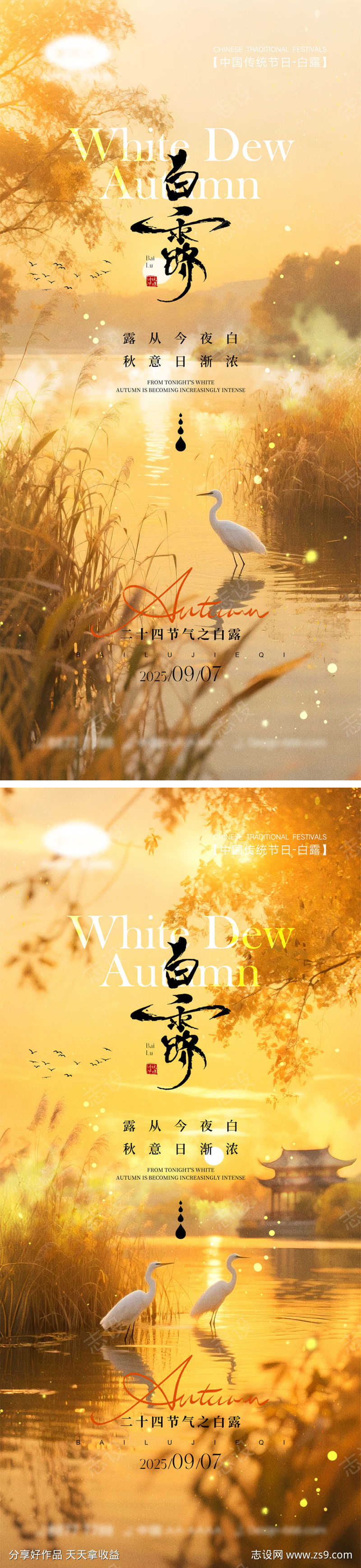 白露节气海报