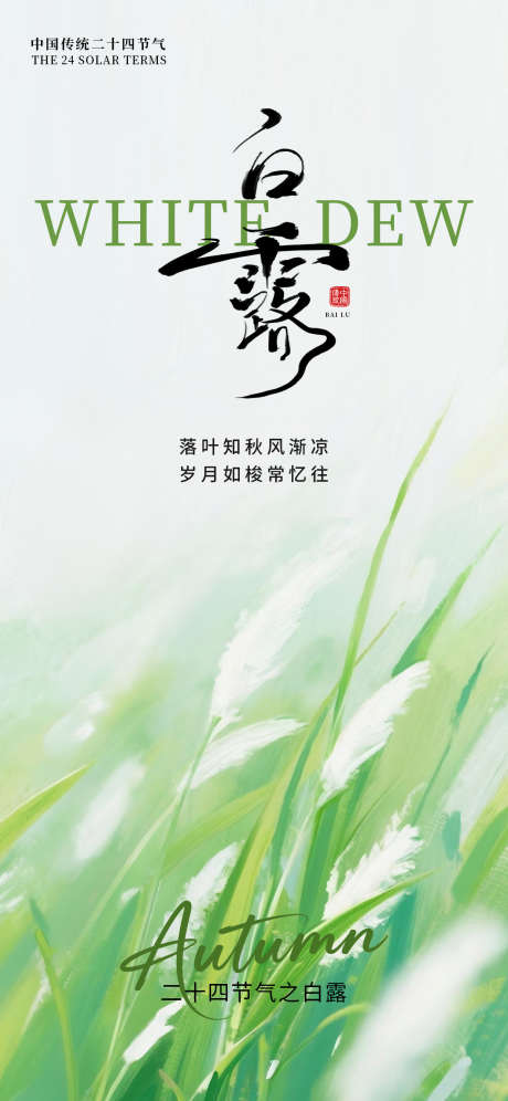白露节气海报_源文件下载_PSD格式_1242X2688像素-芦苇,秋天,二十四节气-作品编号:2025082411105405-志设