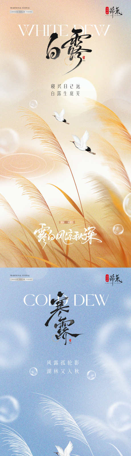 地产白露寒露芦苇风景海报_源文件下载_PSD格式_1080X4545像素-清新,意境,风景-作品编号:2025082509362343-志设
