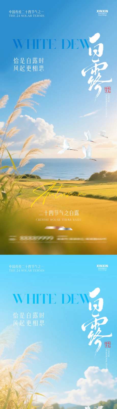 白露田野海报_源文件下载_PSD格式_1080X4680像素-芦苇,白露,节气-作品编号:2025082510344698-志˒设ʹ֣֤֚֫֗ׄ网
