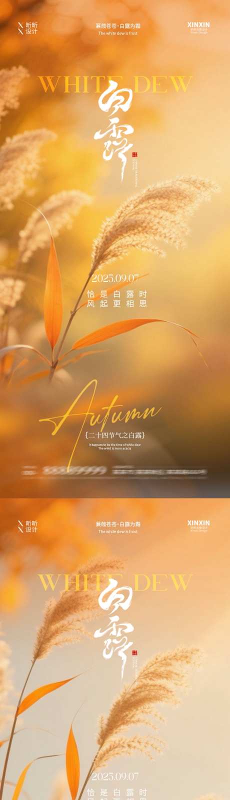 地产白露芦苇风景摄影海报_源文件下载_PSD格式_1080X4680像素-芦苇,秋天,白露-作品编号:2025082510367667-志设