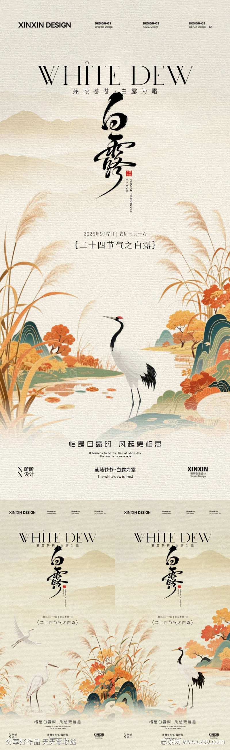 白露插画海报