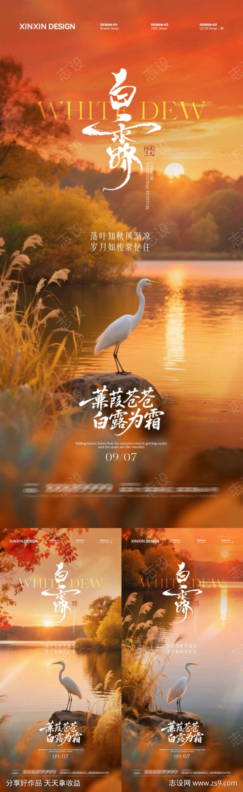 地产白露芦苇风景摄影海报