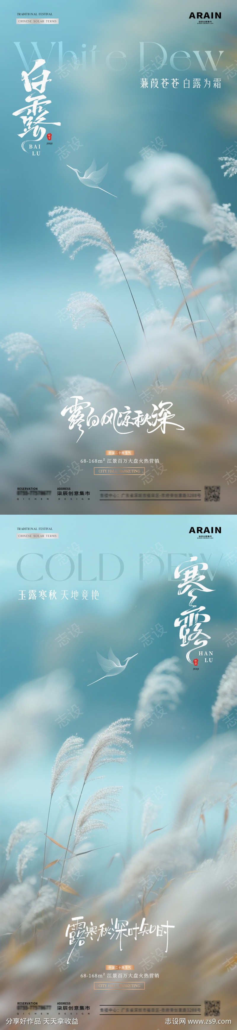 地产白露寒露芦苇风景海报