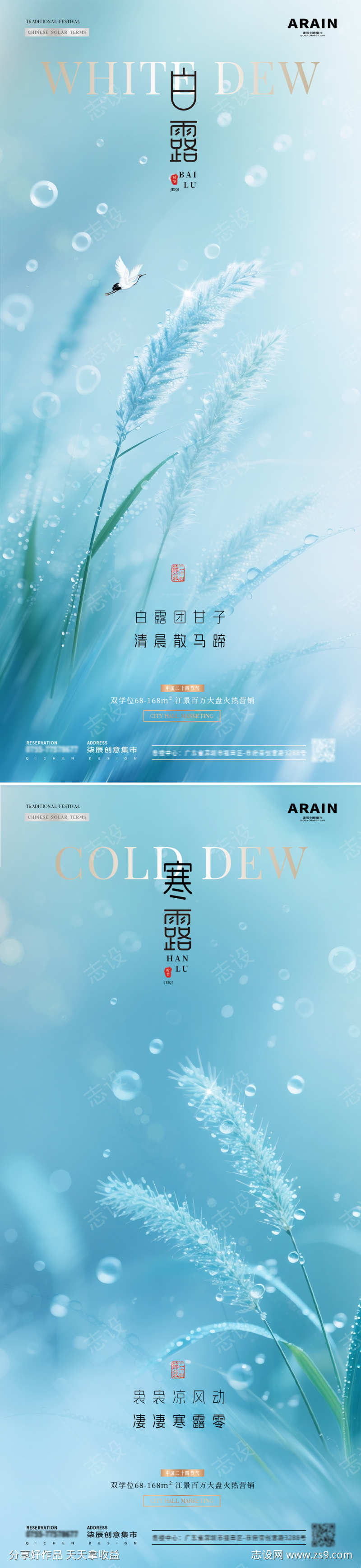 地产白露寒露芦苇露珠清新海报
