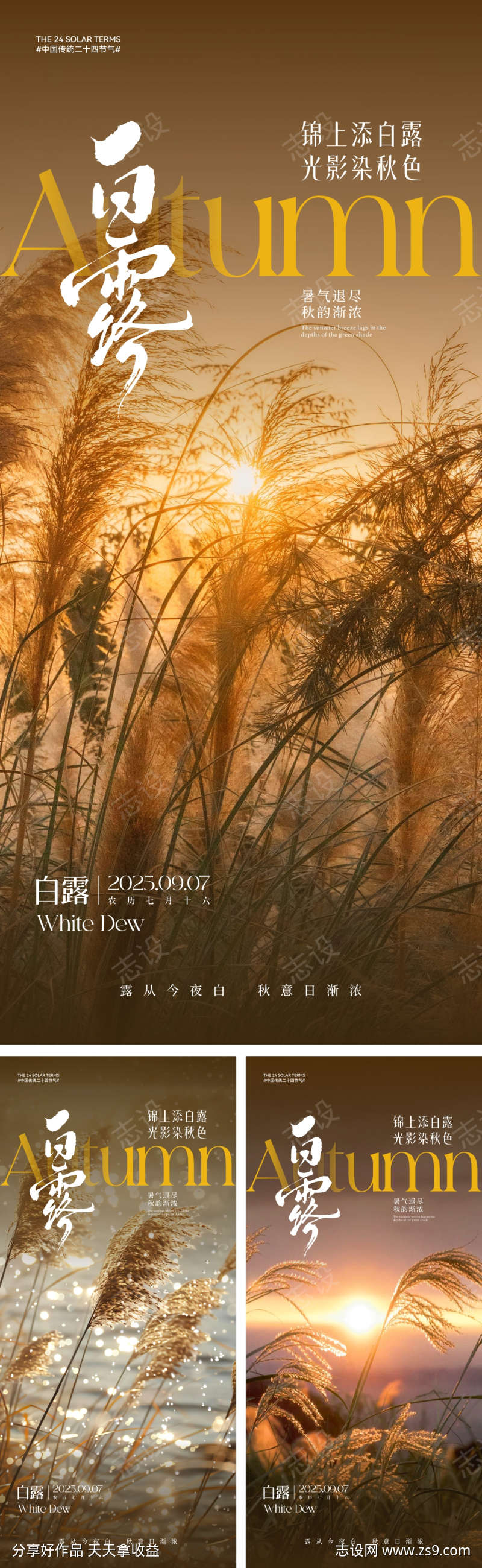 白露节气海报