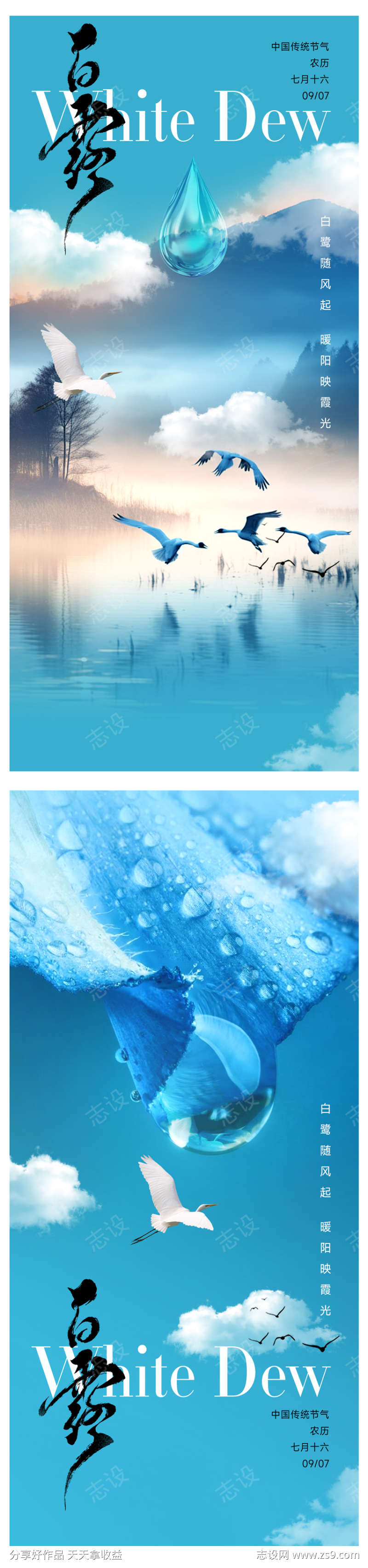 白露节气海报